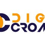Digicrome011 Profile Picture