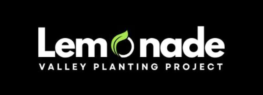 Lemonade Valley Cover Image