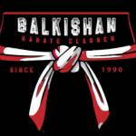 Balkishan Karate Classes profile picture
